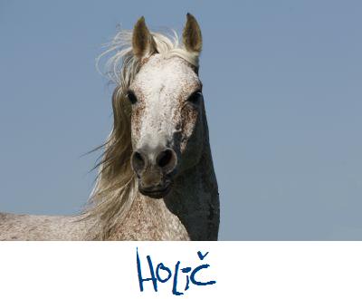 Holič